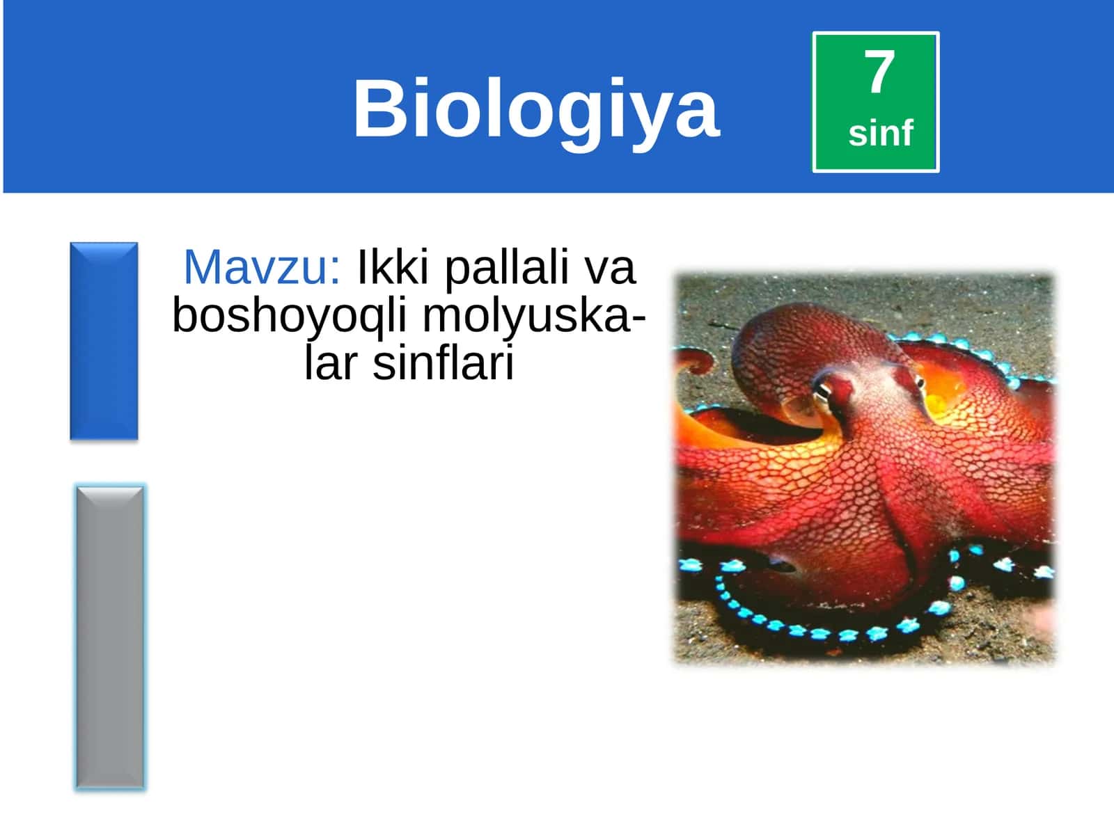 Ikki pallali va boshoyoqli molyuskalar sinflari