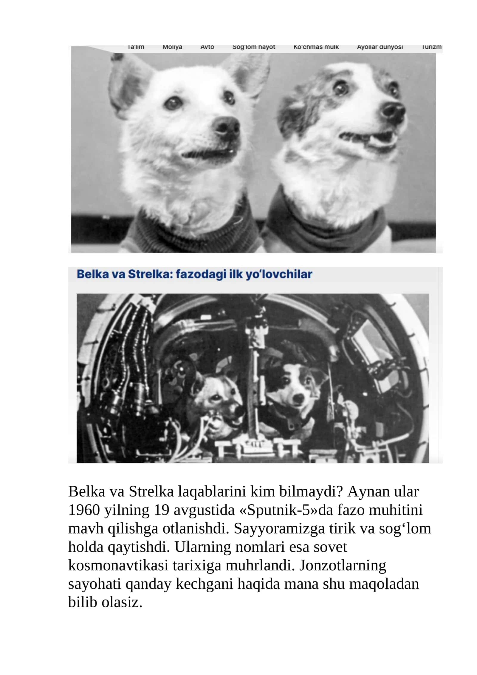 Belka va Strelka kosmonavtlari haqida