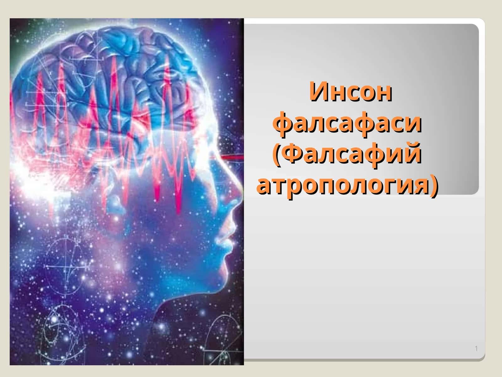 Инсон фалсафаси (Фалсафий атропология)