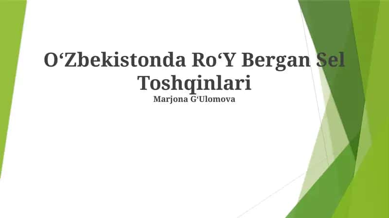 Oʻzbekistonda RoʻY Bergan Sel Toshqinlari