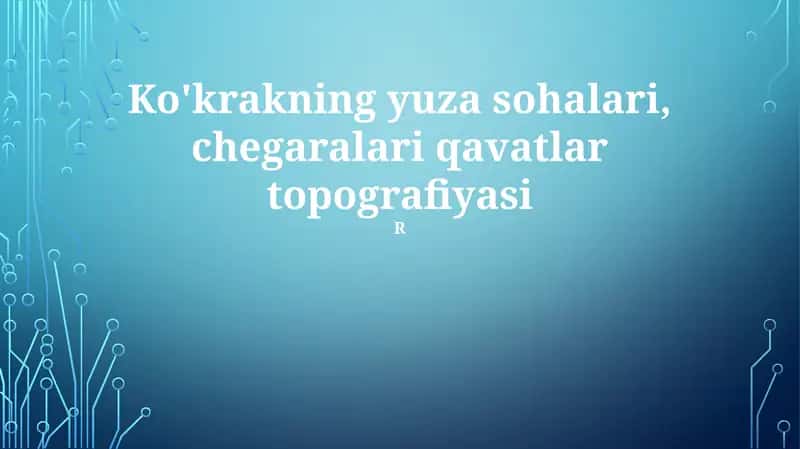 Ko'krakning yuza sohalari, chegaralari qavatlar topografiyasi