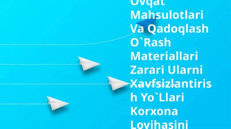 Sintetik Oziq-Ovqat Mahsulotlari Va Qadoqlash O`Rash Materiallari Zarari Ularni Xavfsizlantirish Yo`Llari Korxona Loyihasi