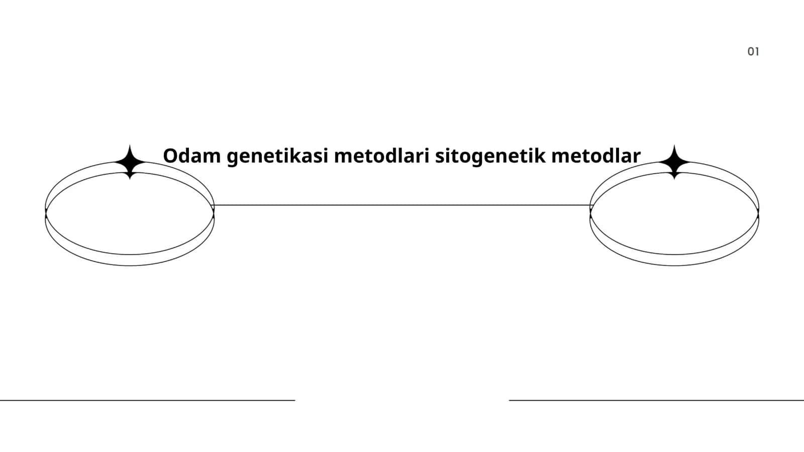 Odam genetikasi metodlari sitogenetik metodlar