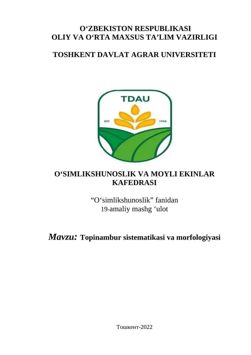 Topinambur sistematikasi va morfologiyasi