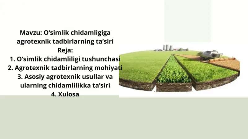 O‘simlik chidamligiga agrotexnik tadbirlarning ta’siri