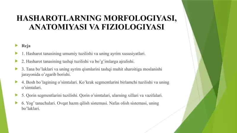 Hasharotlarning morfologiyasi, anatomiyasi va fiziologiyasi