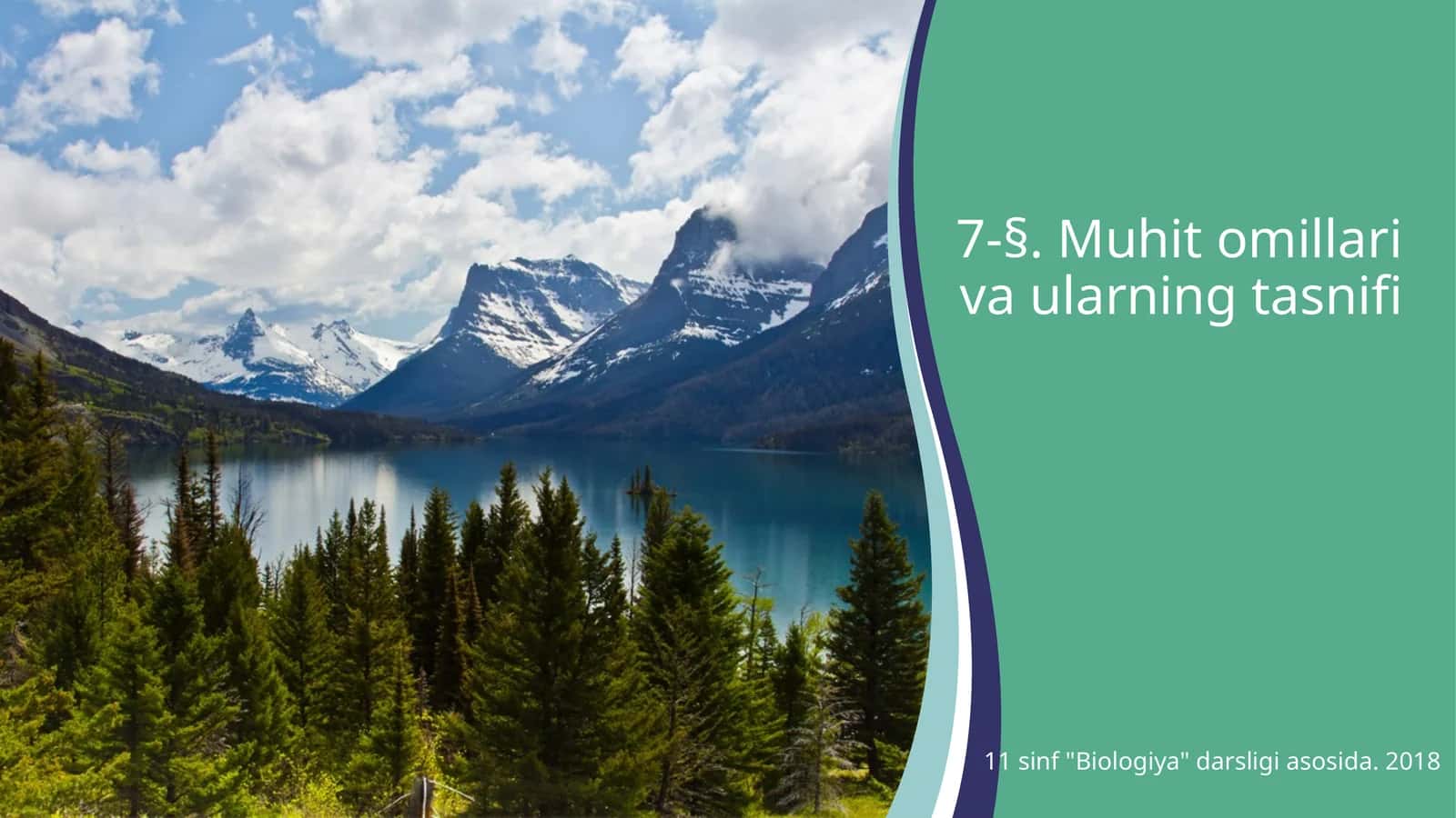 Muhit omillari va ularning tasnifi