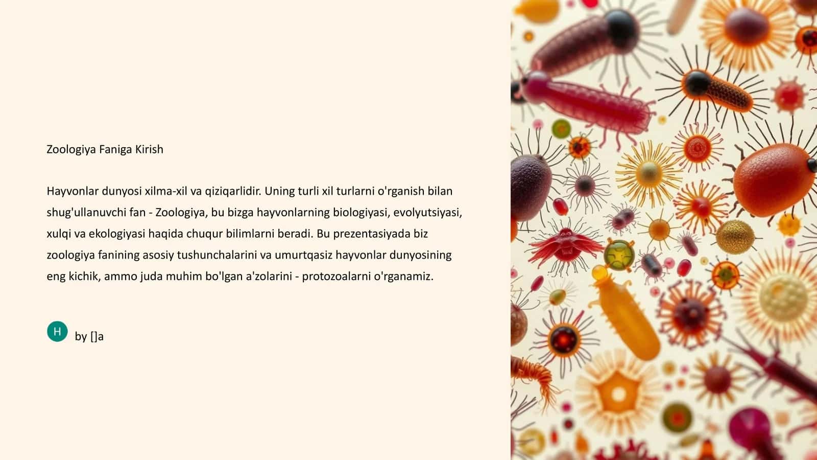 Umurtqasizlar: Hayvonlar Dunyosining Xilma-xilligi