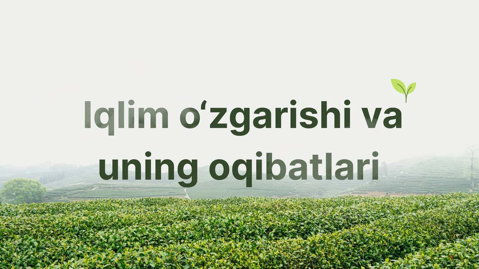 Iqlim o'zgarishi va uning oqibatlari