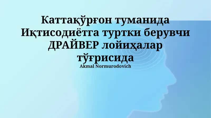 ДРАЙВЕР лойиҳалар тўғрисида