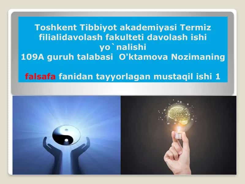 Falsafa fanidan tayyorlagan mustaqil ish
