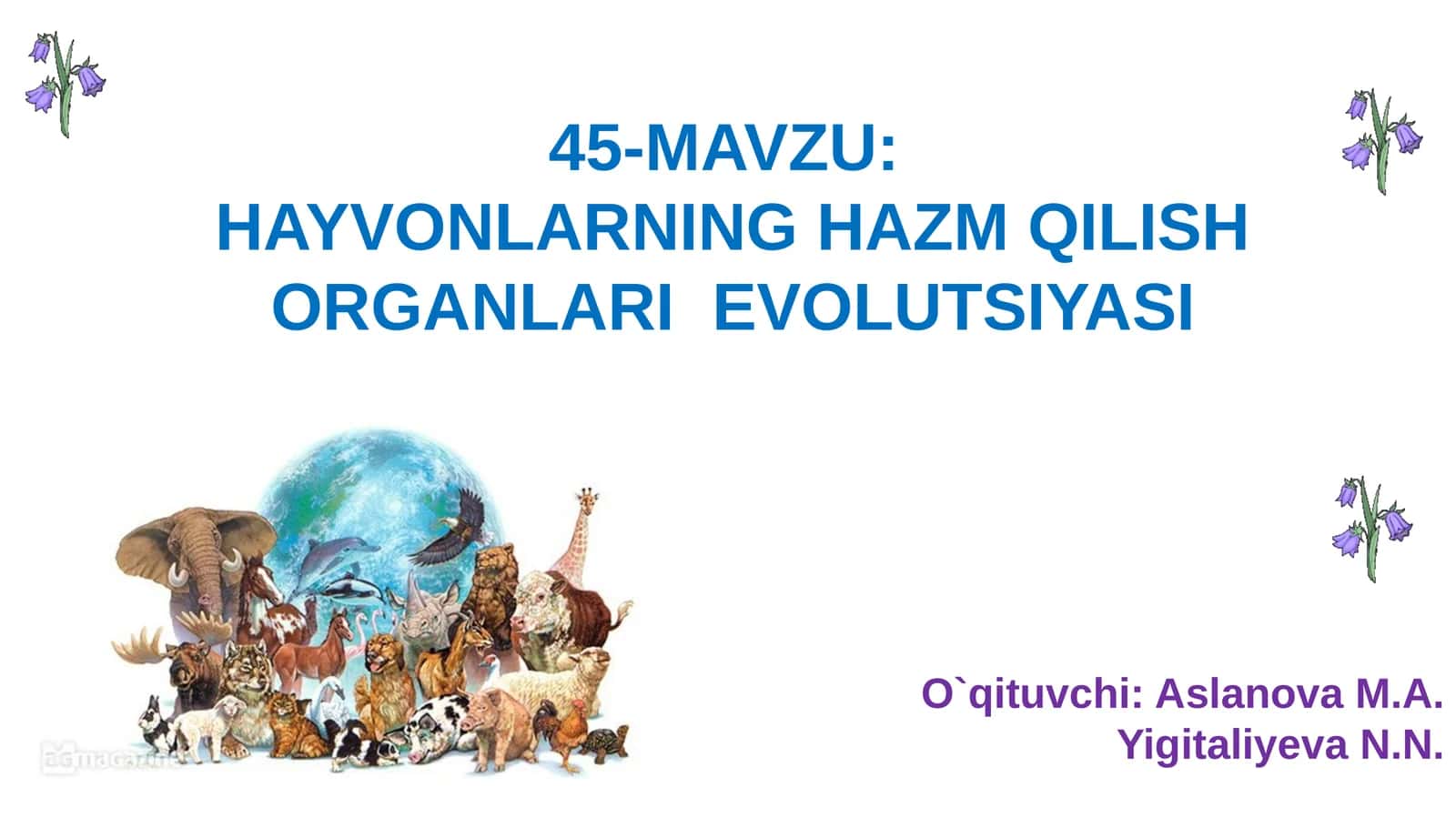 HAYVONLARNINGHAZM QILISH ORGANLARIEVOLUTSIYASI
