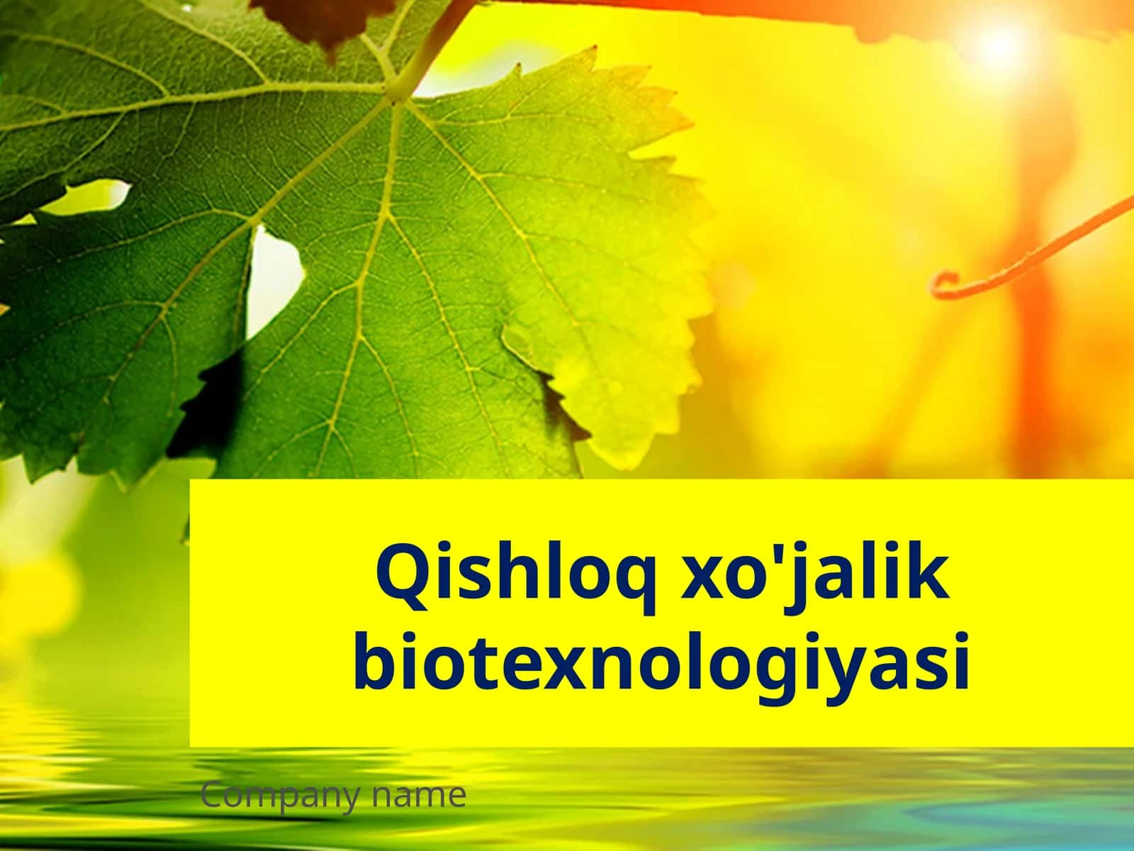 Qishloq xo'jalik biotexnologiyasi