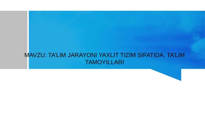TA’LIM JARAYONI YAXLIT TIZIM SIFATIDA. TA’LIM TAMOYILLARI