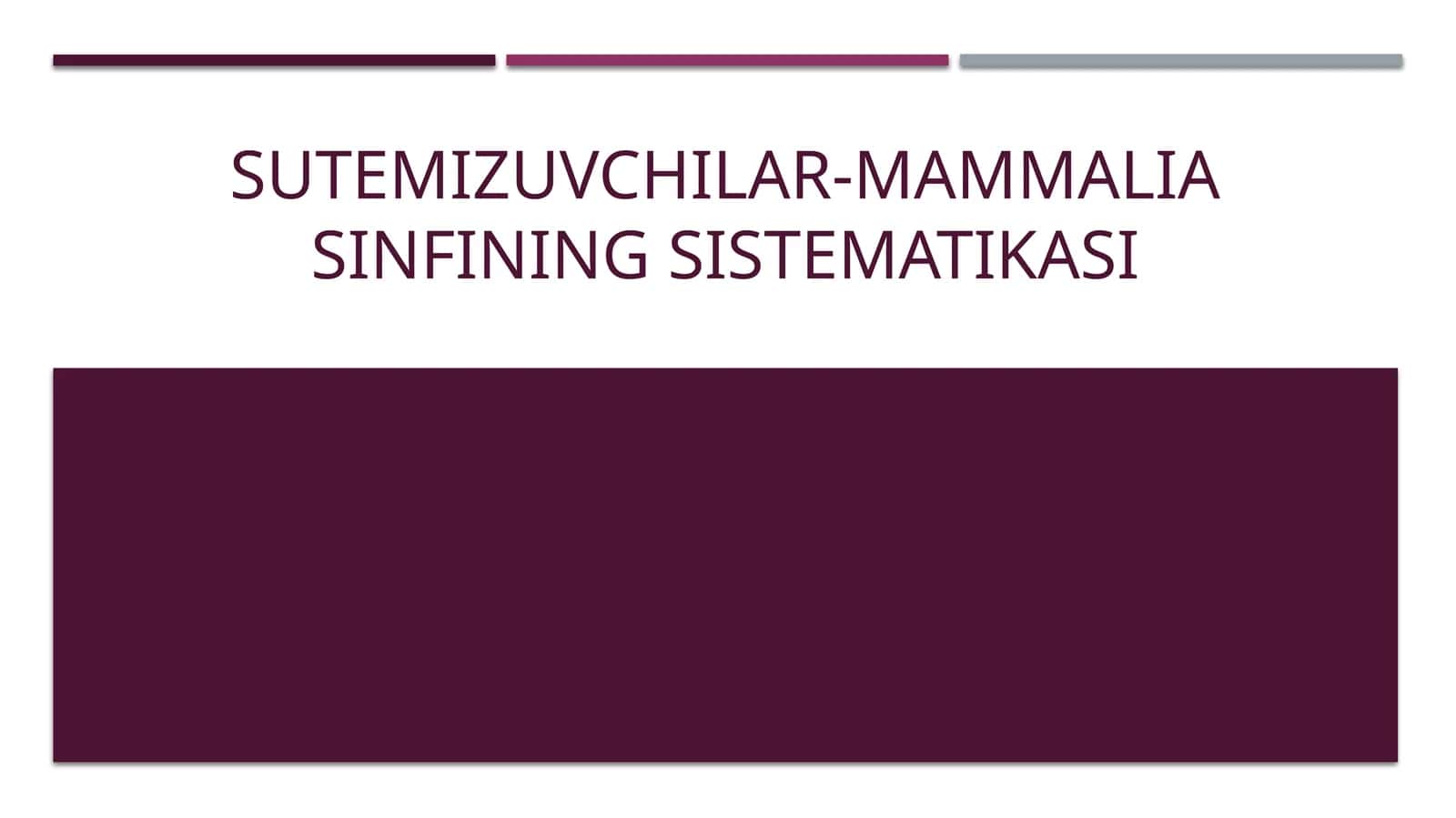 Sutemizuvchilar-Mammalia sinfining sistematikasi