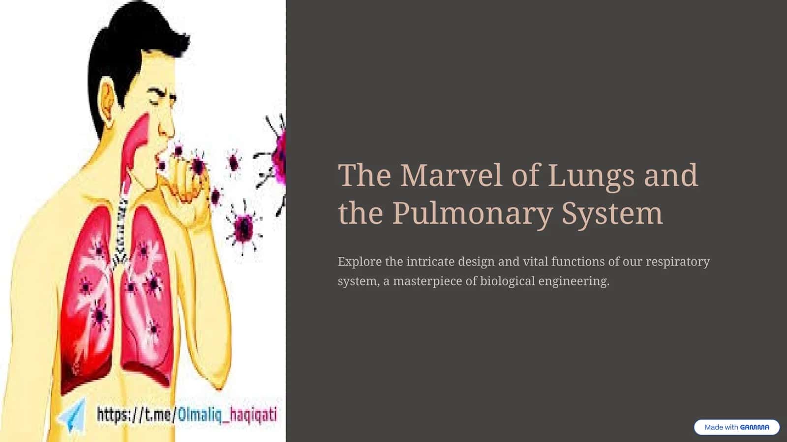 The Marvel of Lungs and the Pulmonary System