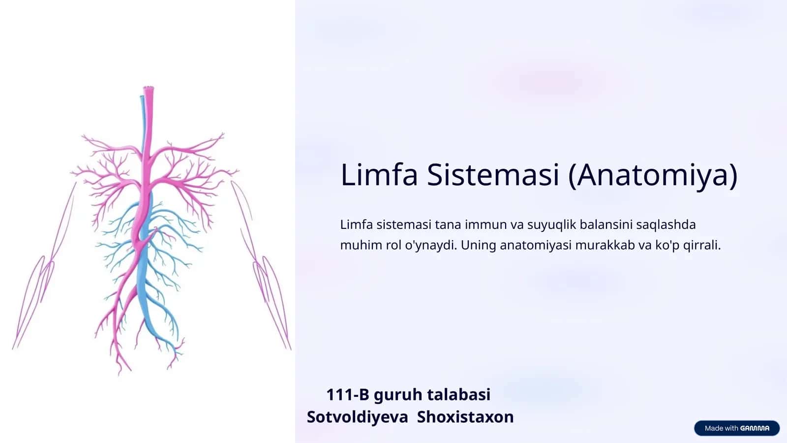 Limfa Sistemasi (Anatomiya)