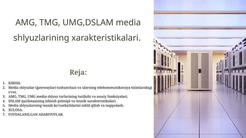 AMG, TMG, UMG,DSLAM media shlyuzlarining xarakteristikalari