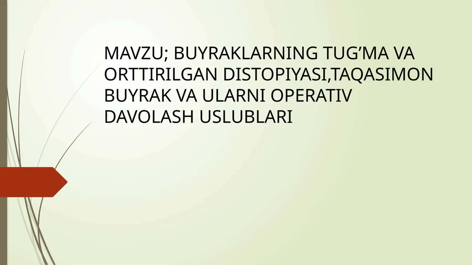 BUYRAKLARNING TUG’MA VA ORTTIRILGAN DISTOPIYASI,TAQASIMON BUYRAK VA ULARNI OPERATIV DAVOLASH USLUBLARI