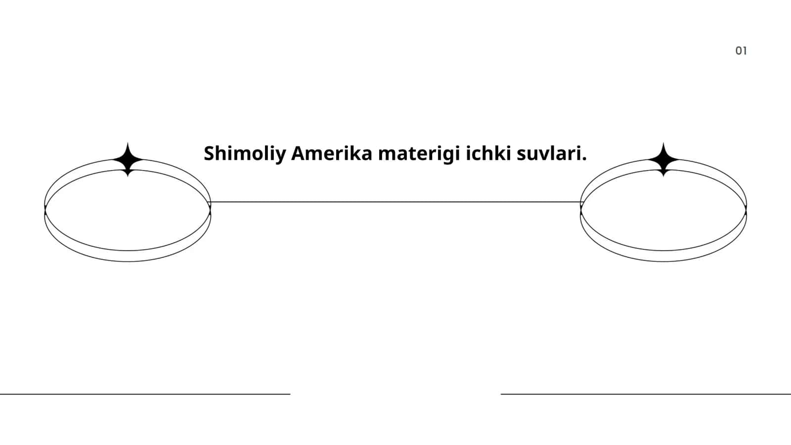 Shimoliy Amerika materigi ichki suvlari