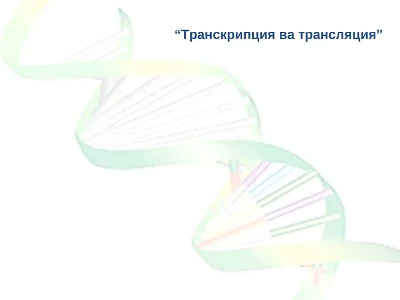 Транскрипция ва трансляция