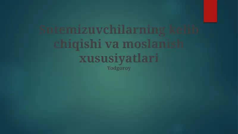 Filtr Oziqlantirishning Evolyutsion Ahamiyati