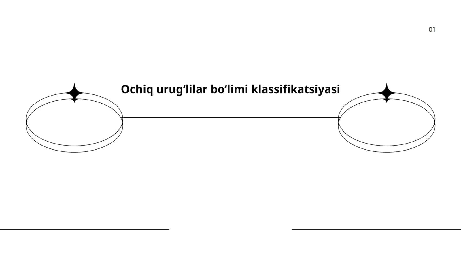 Ochiq urug‘lilar bo‘limi klassifikatsiyasi