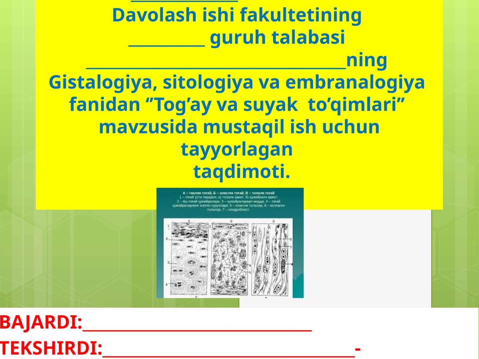 "Tog’ay va suyak to’qimlari"