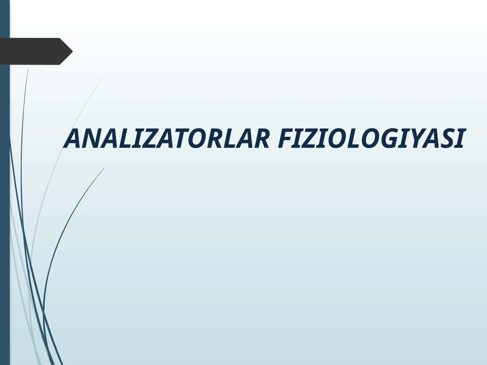 ANALIZATORLAR FIZIOLOGIYASI