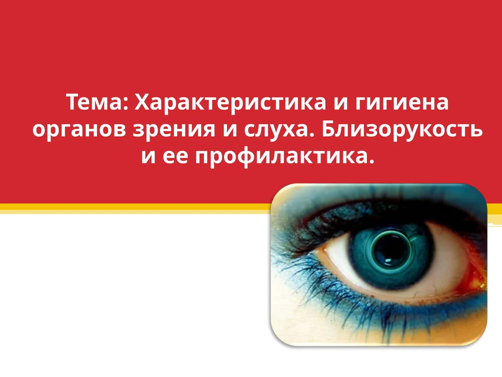 Характеристика и гигиена органов зрения и слуха. Близорукость и ее профилактика.