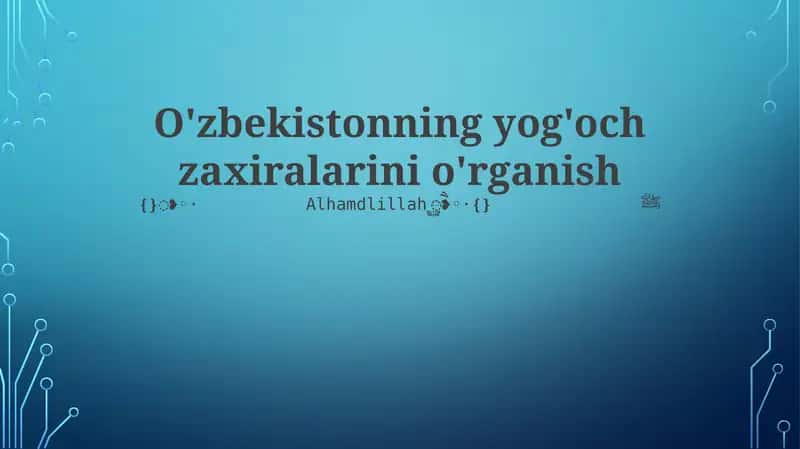 O'zbekistonning yog'och zaxiralarini o'rganish