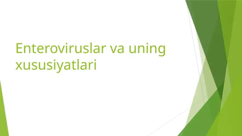 Enteroviruslar va uning xususiyatlari