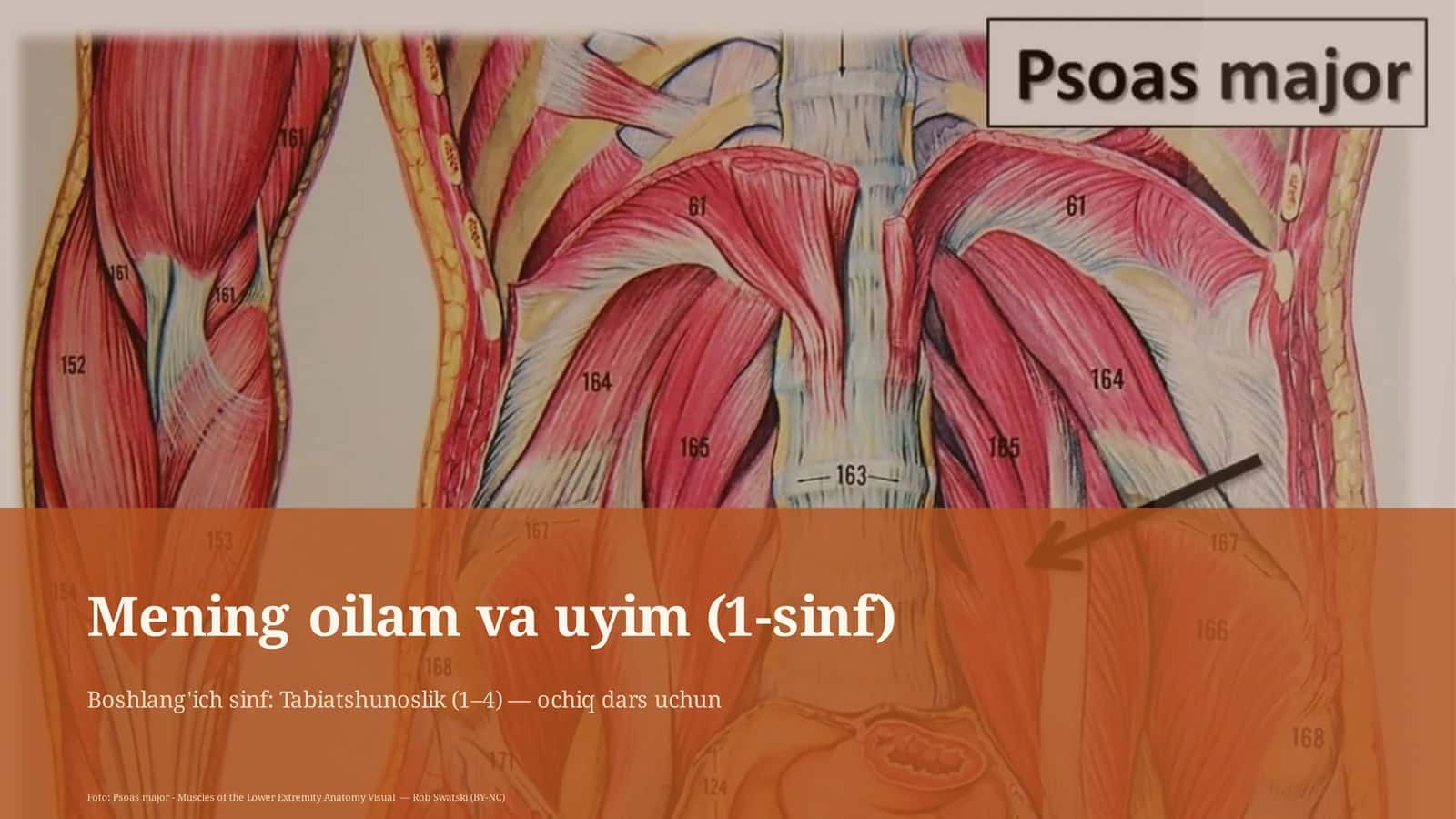 Mening oilam va uyim (1-sinf)