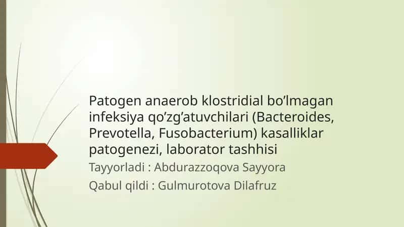 Patogenanerobklostridial bo’lmagan infeksiya qo’zg’atuvchilari kasalliklar patogenezi