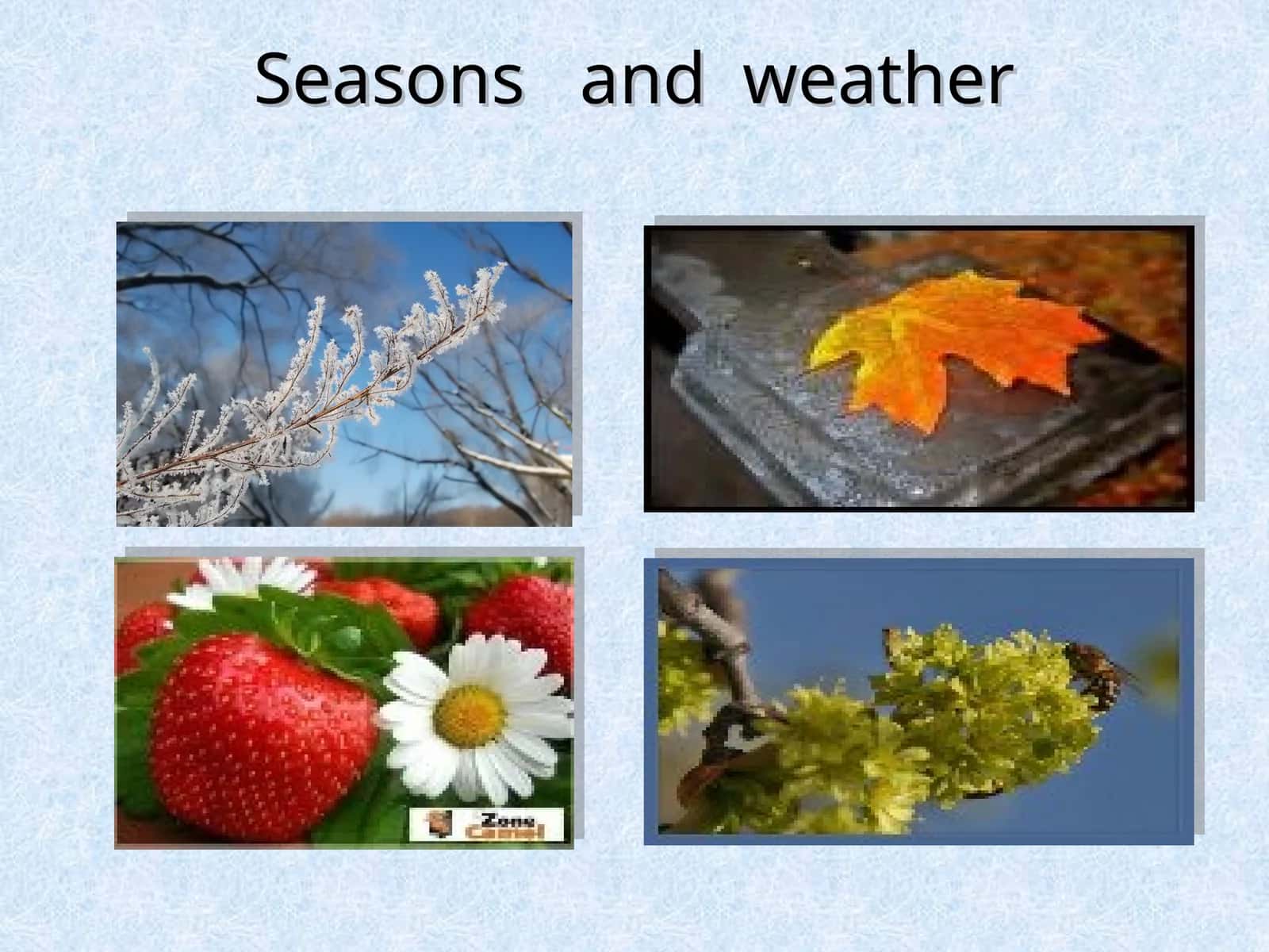 6-sinf Ingliz tili fanidan Weather and the seasons dars taqdimoti