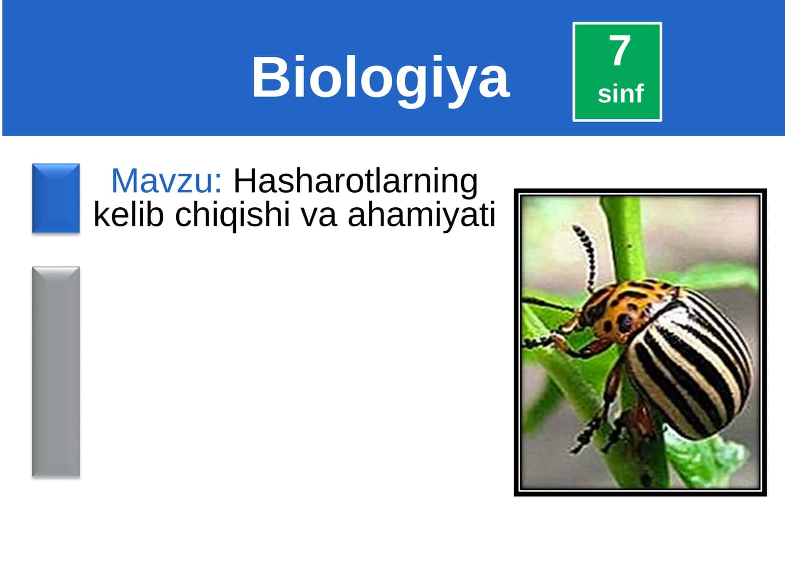 Hasharotlarning kelib chiqishi va ahamiyati