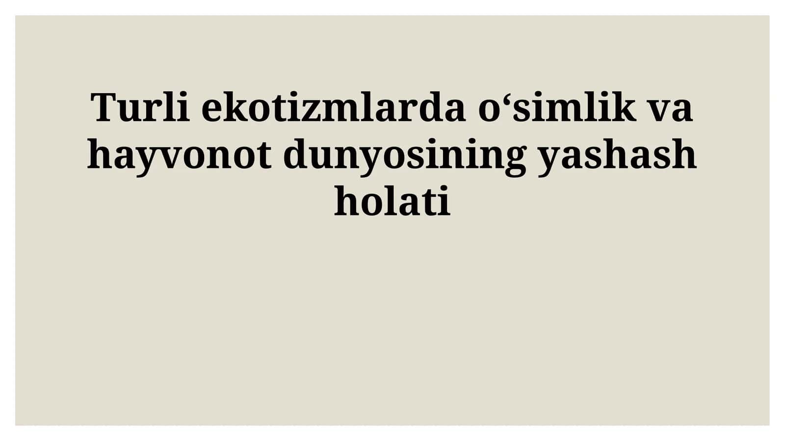 O'rmon Ekosistemasi