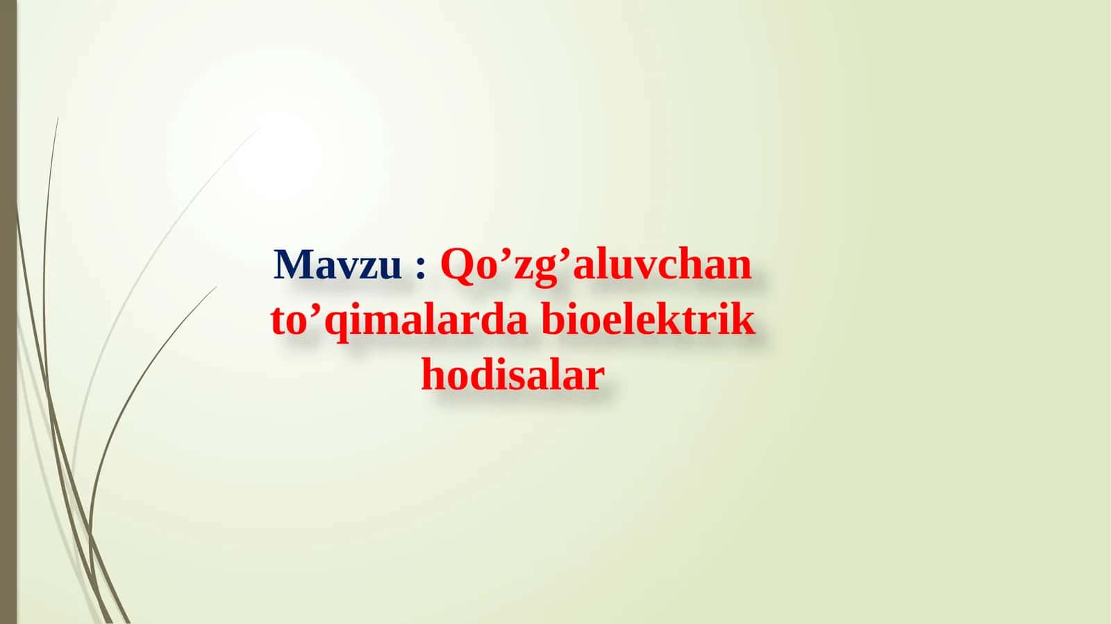 Qo’zg’aluvchan to’qimalarda bioelektrik hodisalar