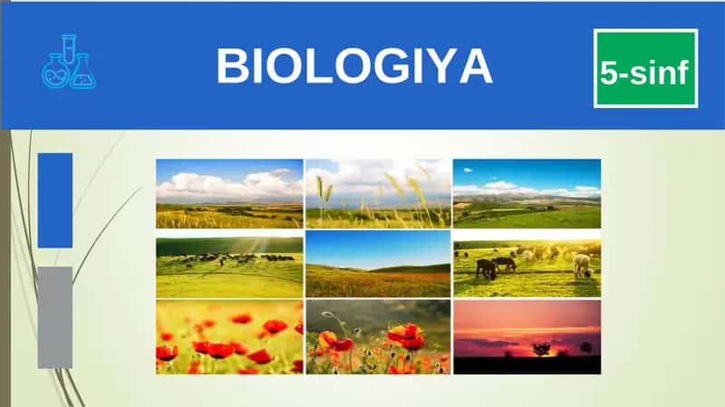 BIOLOGIYA 5-sinf MUSTAHKAMLASH