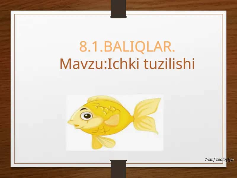 BALIQLAR - Ichki tuzilishi