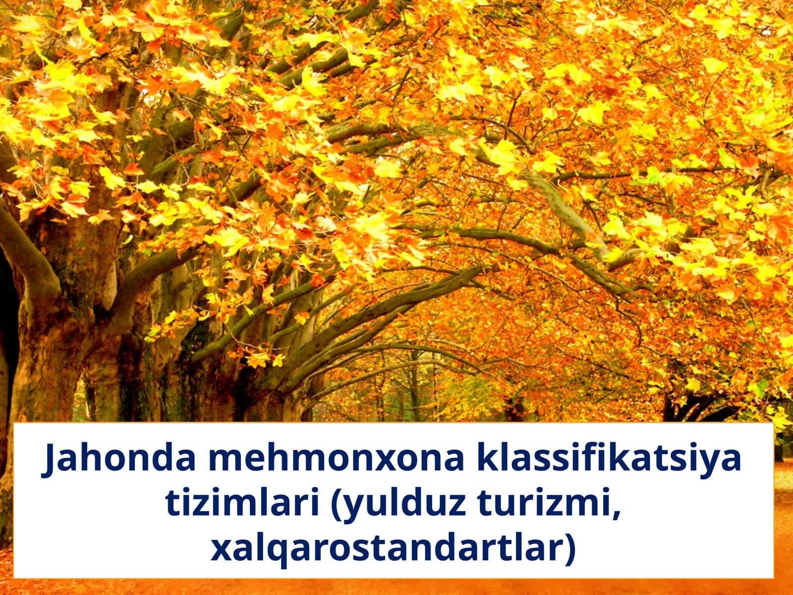 Jahonda mehmonxona klassifikatsiya tizimlari (yulduz turizmi, xalqarostandartlar)