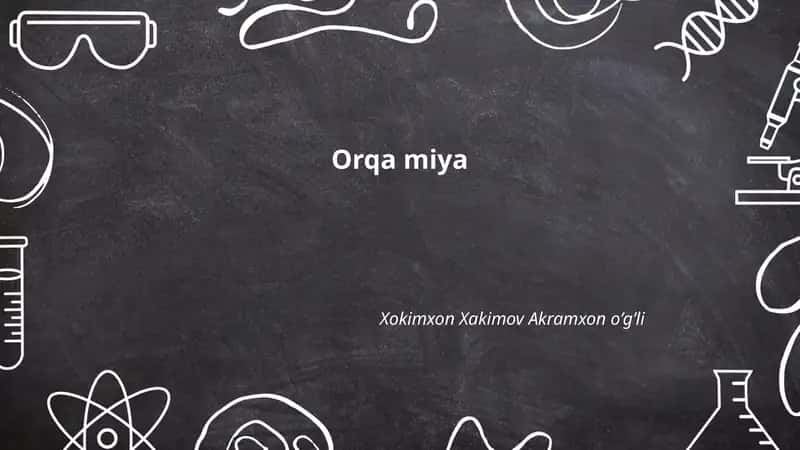 Orqa miya