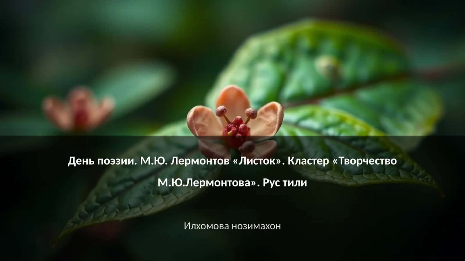 День поэзии. М.Ю. Лермонтов «Листок»