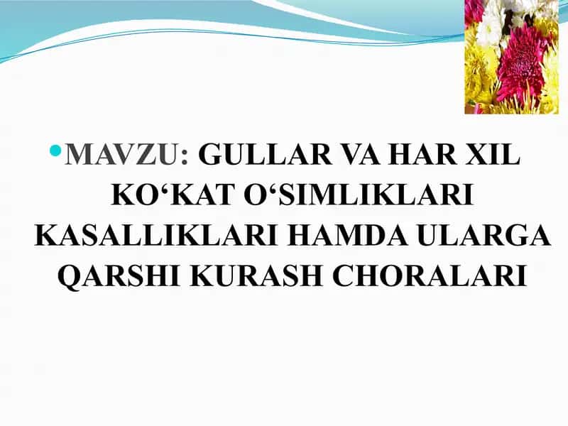 GULLAR VA HAR XIL KO‘KAT O‘SIMLIKLARI KASALLIKLARI HAMDA ULARGA QARSHI KURASH CHORALARI