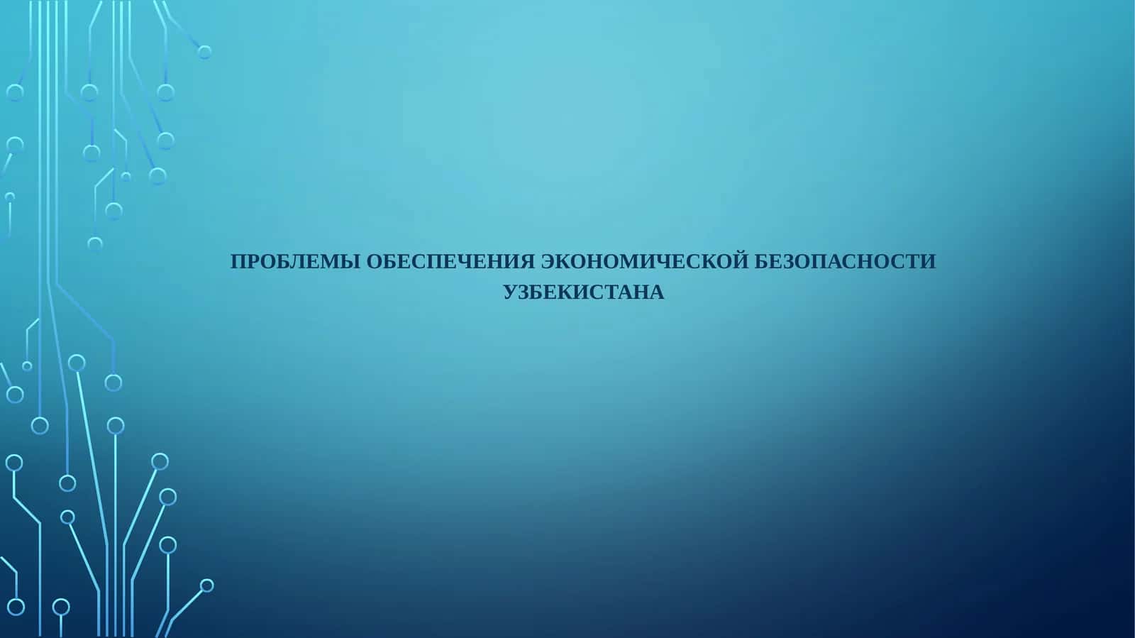 Проблемы обеспечения экономической безопасности Узбекистана