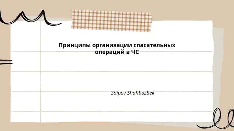 Принципы организации спасательных операций в ЧС
