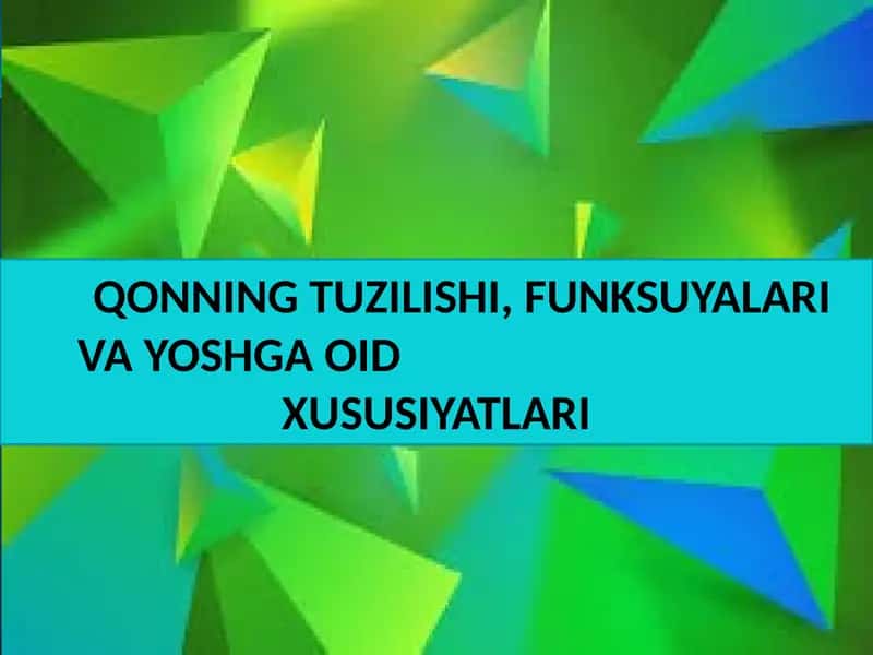 QONNING TUZILISHI, FUNKSUYALARI VA YOSHGA OIDXUSUSIYATLARI