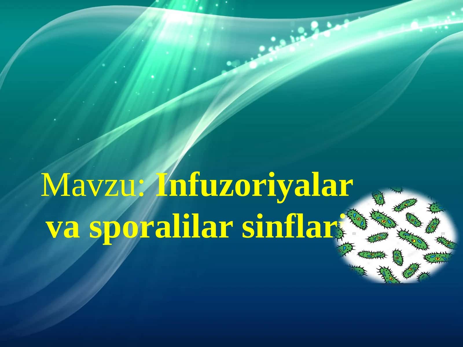 Infuzoriyalar va Sporalilar Sinflari