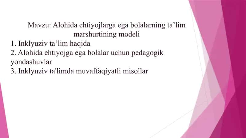 Alohida ehtiyojlarga ega bolalarning taʼlim marshurtining modeli