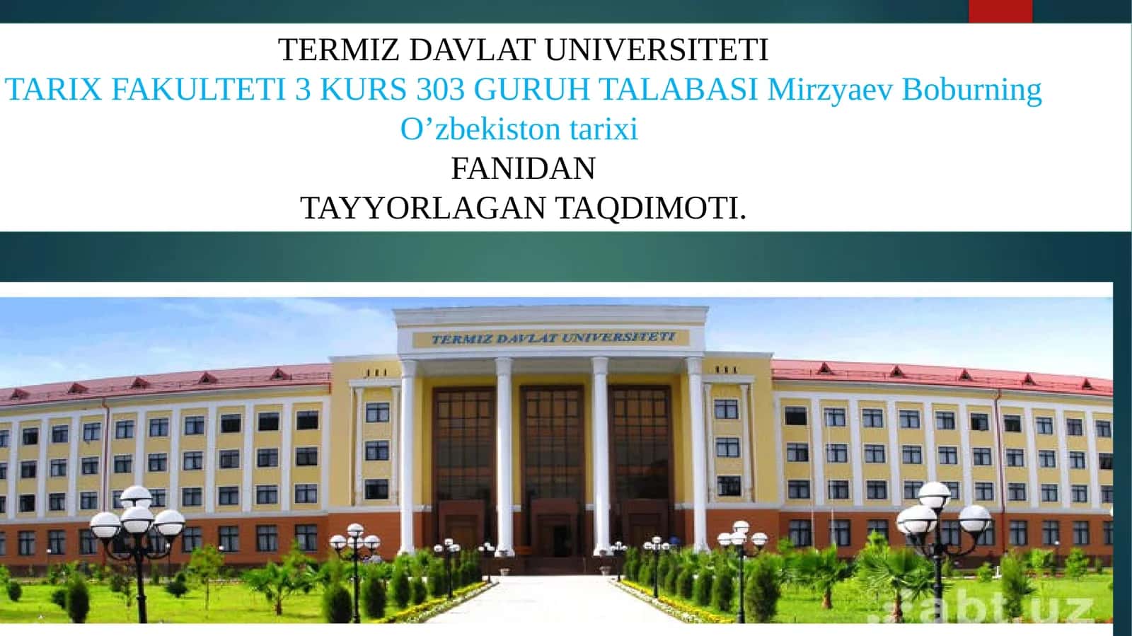 Sho’roi Islomiya tashkiloting tuzilishi va ularning faoliyati